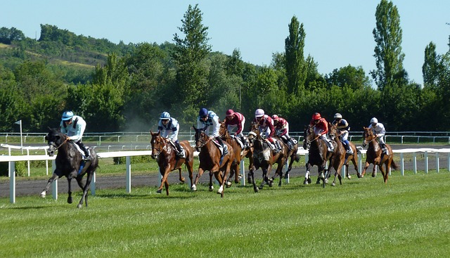 Betting on horse races 